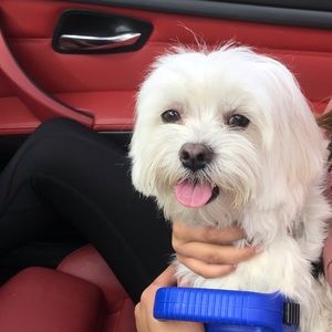 Meet your Posher, Adi